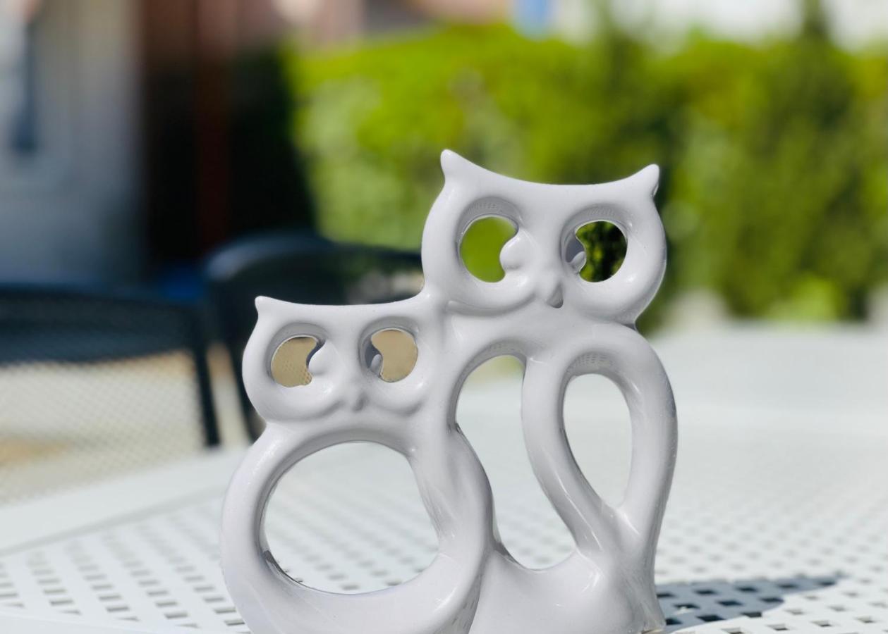 Dwie Sowy By Baltic Home ミエンジズドロイェ エクステリア 写真