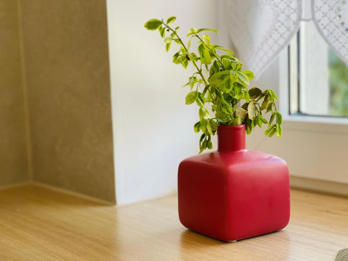 Dwie Sowy By Baltic Home ミエンジズドロイェ エクステリア 写真